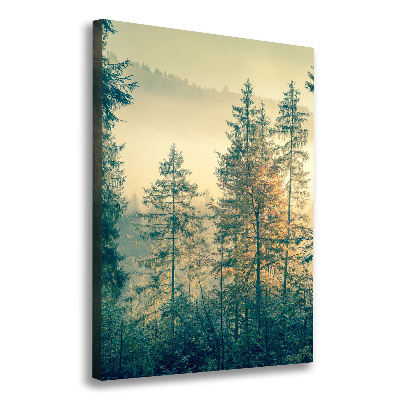 Quadro su tela canvas verticale Nebbia sulla foresta