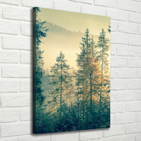 Quadro su tela canvas verticale Nebbia sulla foresta