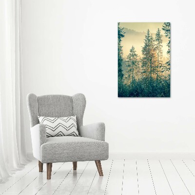 Quadro su tela canvas verticale Nebbia sulla foresta