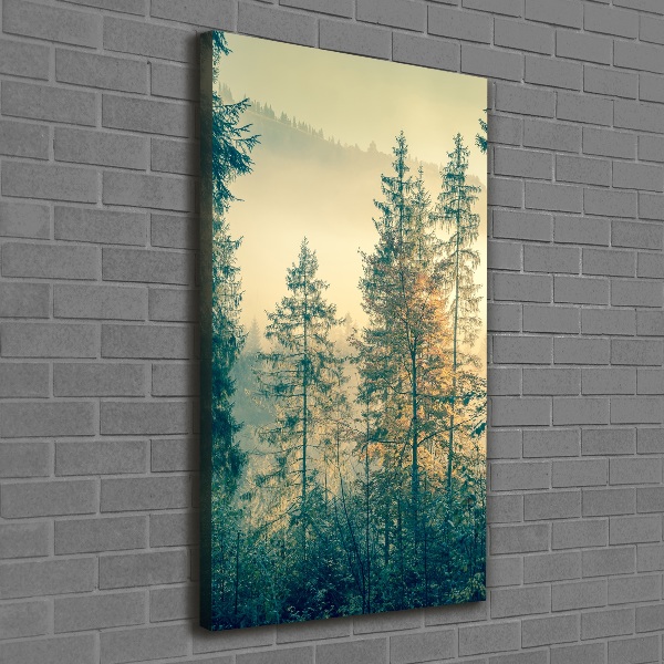 Quadro su tela canvas verticale Nebbia sulla foresta