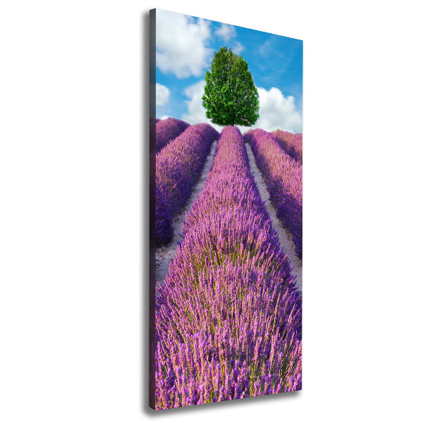 Quadro su tela canvas verticale Campo di lavanda