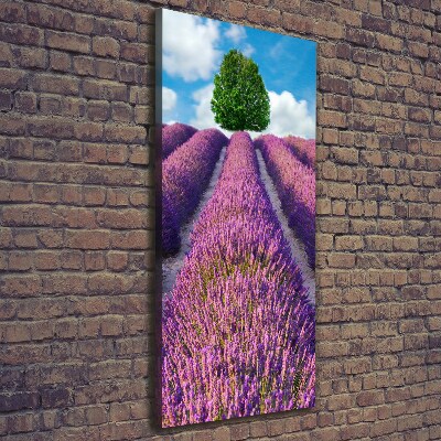 Quadro su tela canvas verticale Campo di lavanda