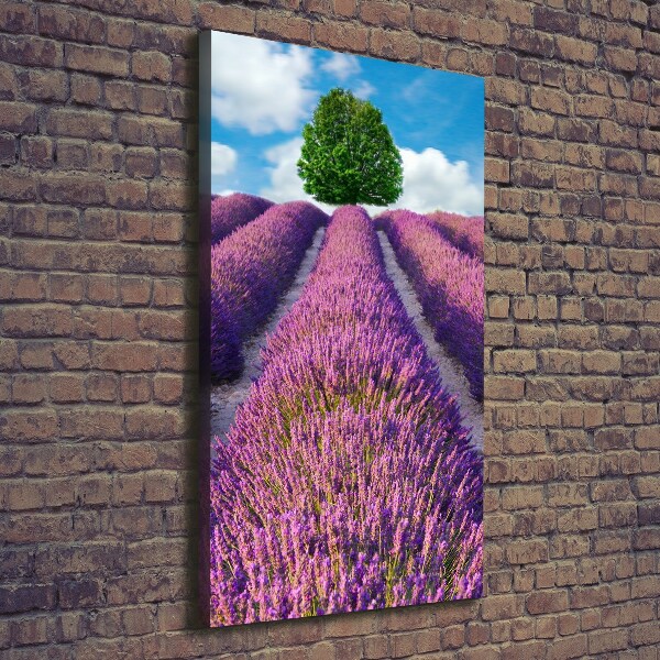 Quadro su tela canvas verticale Campo di lavanda