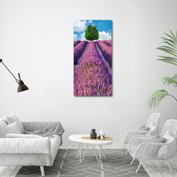 Quadro su tela canvas verticale Campo di lavanda
