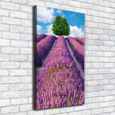 Quadro su tela canvas verticale Campo di lavanda