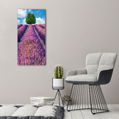 Quadro su tela canvas verticale Campo di lavanda