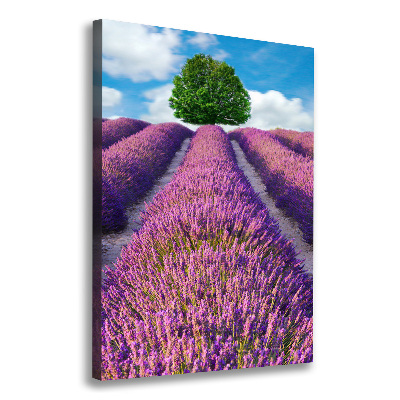Quadro su tela canvas verticale Campo di lavanda