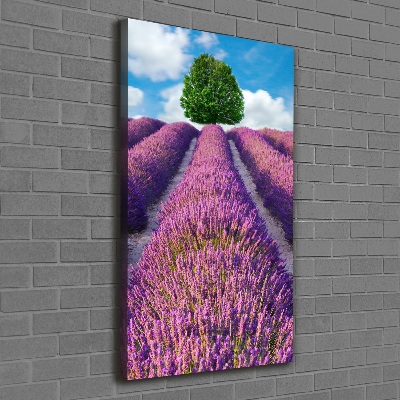 Quadro su tela canvas verticale Campo di lavanda