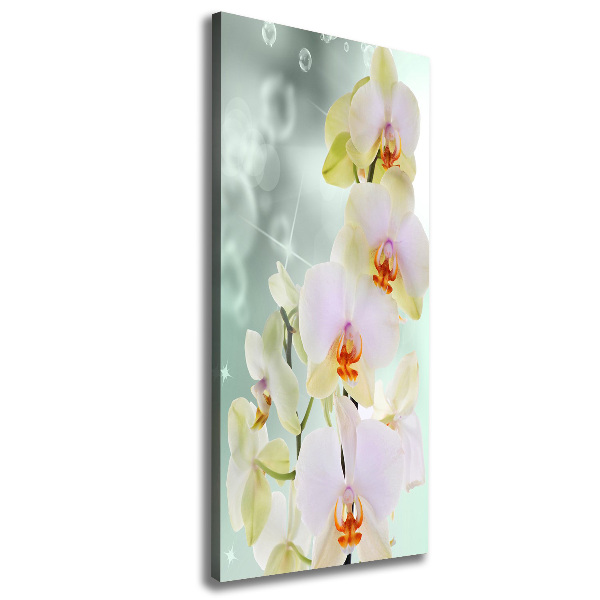 Quadro su tela canvas verticale Orchidea