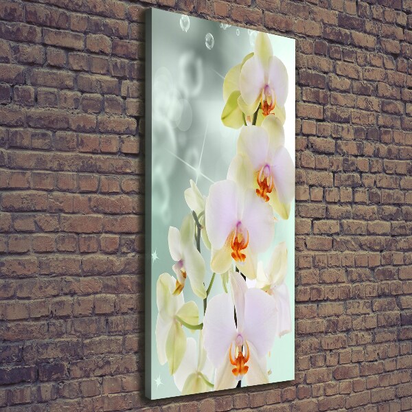Quadro su tela canvas verticale Orchidea