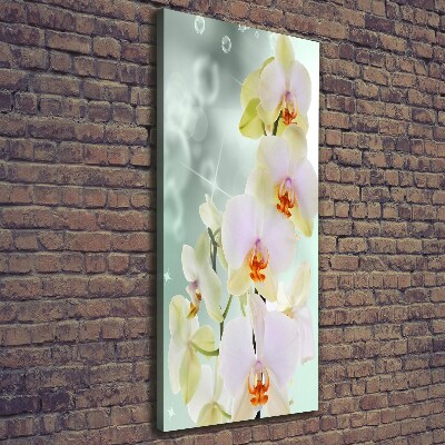 Quadro su tela canvas verticale Orchidea
