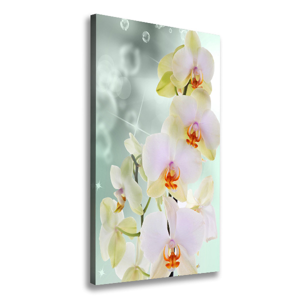 Quadro su tela canvas verticale Orchidea