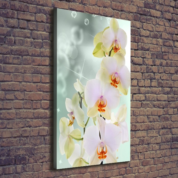 Quadro su tela canvas verticale Orchidea