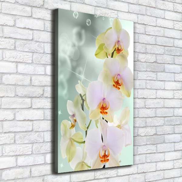 Quadro su tela canvas verticale Orchidea