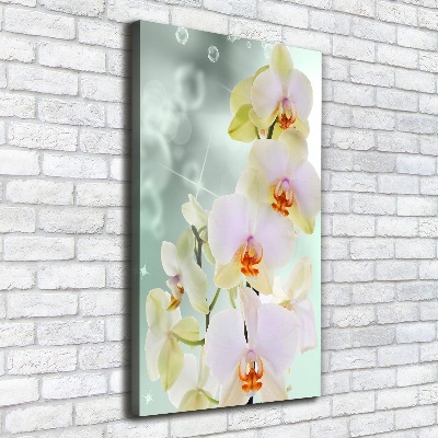Quadro su tela canvas verticale Orchidea
