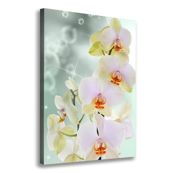 Quadro su tela canvas verticale Orchidea