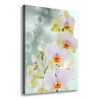Quadro su tela canvas verticale Orchidea