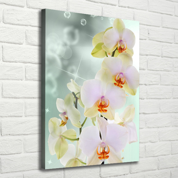 Quadro su tela canvas verticale Orchidea