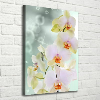 Quadro su tela canvas verticale Orchidea