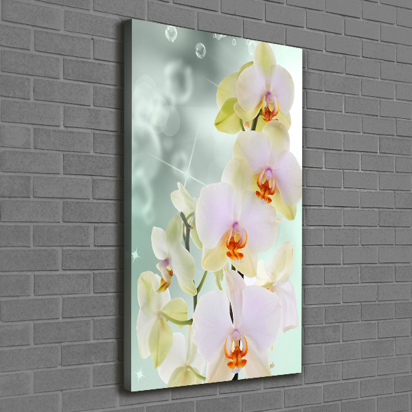 Quadro su tela canvas verticale Orchidea