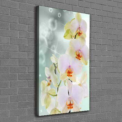 Quadro su tela canvas verticale Orchidea