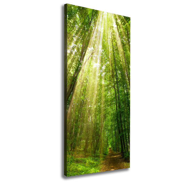 Quadro foto su tela verticale Sentiero nella foresta