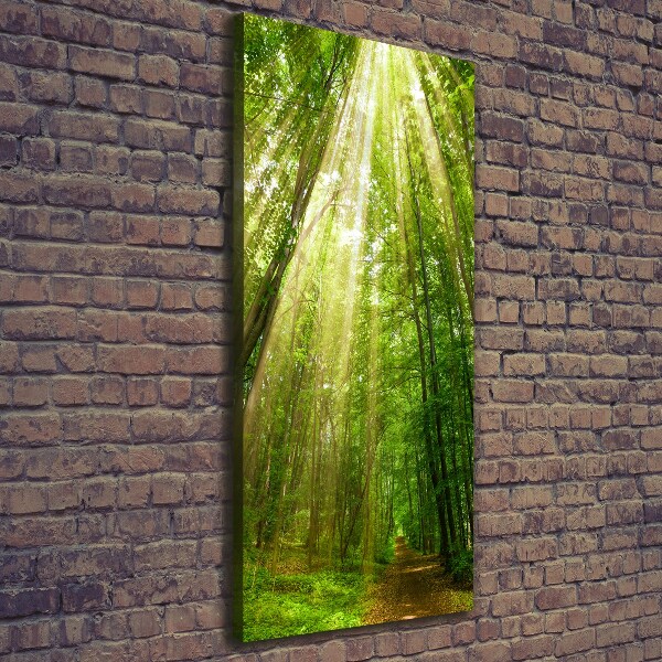 Quadro foto su tela verticale Sentiero nella foresta