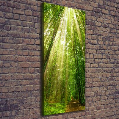 Quadro foto su tela verticale Sentiero nella foresta
