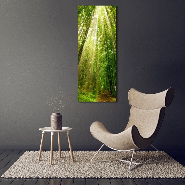 Quadro foto su tela verticale Sentiero nella foresta