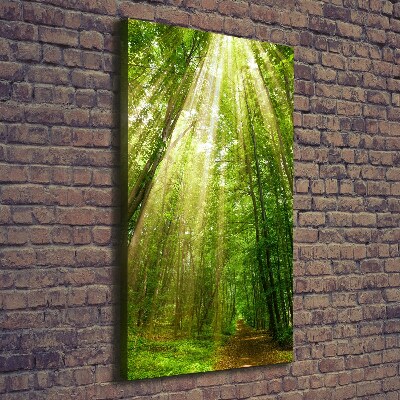 Quadro foto su tela verticale Sentiero nella foresta