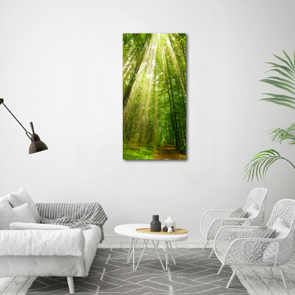 Quadro foto su tela verticale Sentiero nella foresta