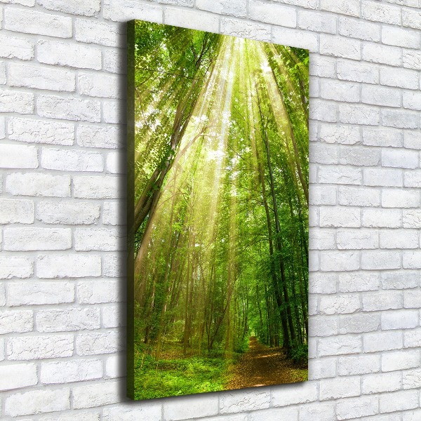 Quadro foto su tela verticale Sentiero nella foresta