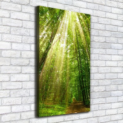 Quadro foto su tela verticale Sentiero nella foresta