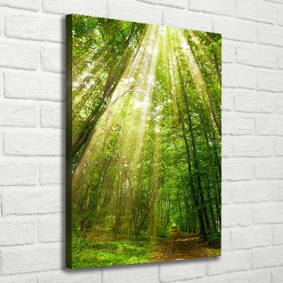 Quadro foto su tela verticale Sentiero nella foresta