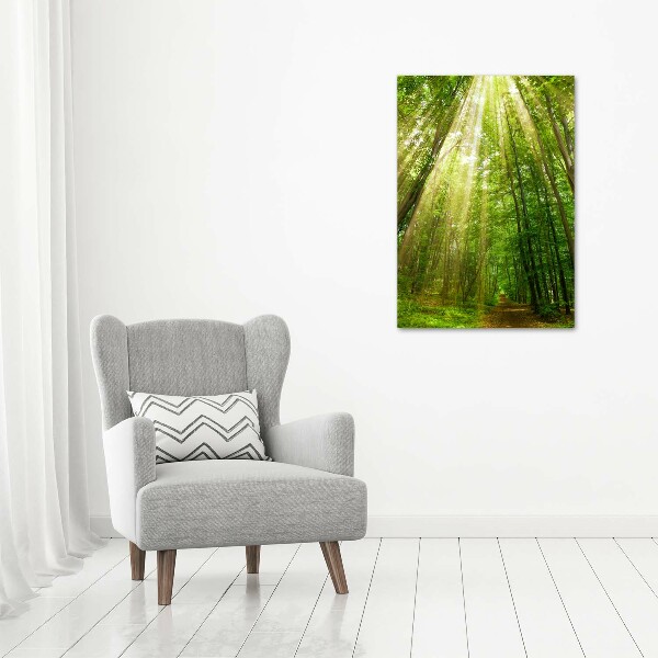 Quadro foto su tela verticale Sentiero nella foresta