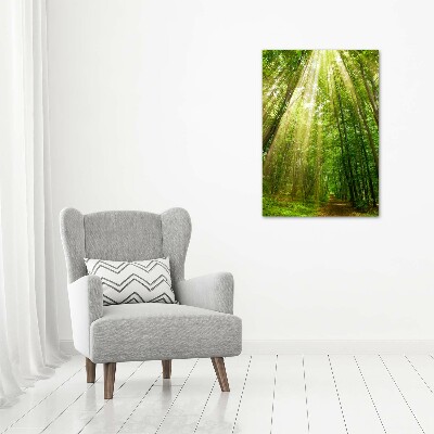 Quadro foto su tela verticale Sentiero nella foresta