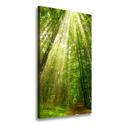 Quadro foto su tela verticale Sentiero nella foresta