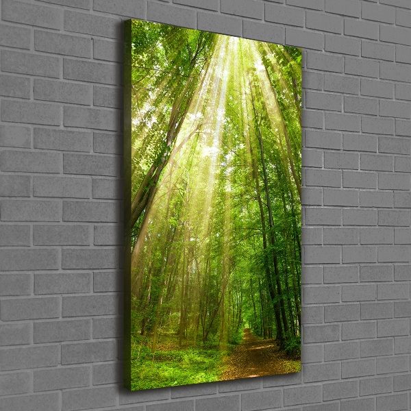 Quadro foto su tela verticale Sentiero nella foresta