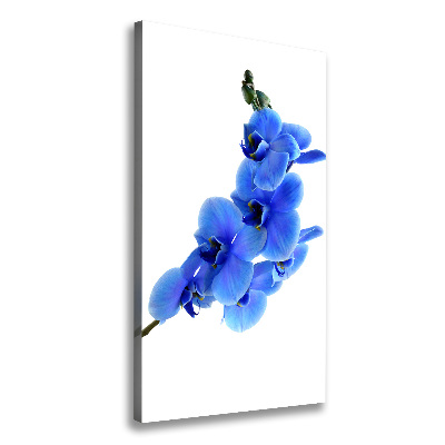 Stampa quadro su tela verticale Orchidea blu