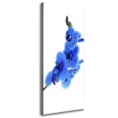 Stampa quadro su tela verticale Orchidea blu