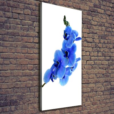 Stampa quadro su tela verticale Orchidea blu