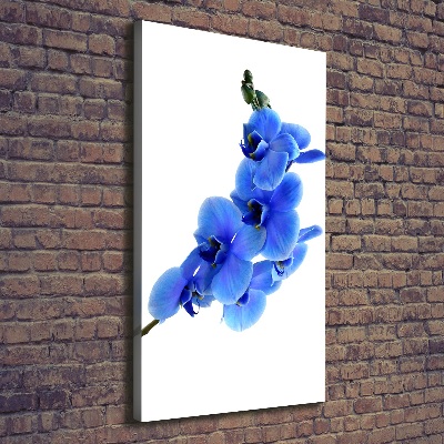 Stampa quadro su tela verticale Orchidea blu