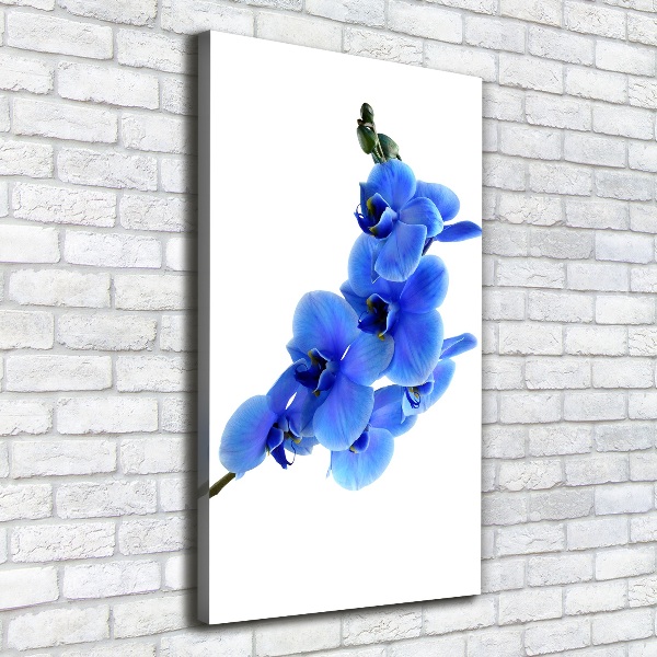 Stampa quadro su tela verticale Orchidea blu