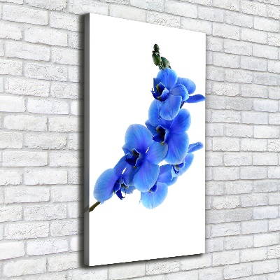 Stampa quadro su tela verticale Orchidea blu