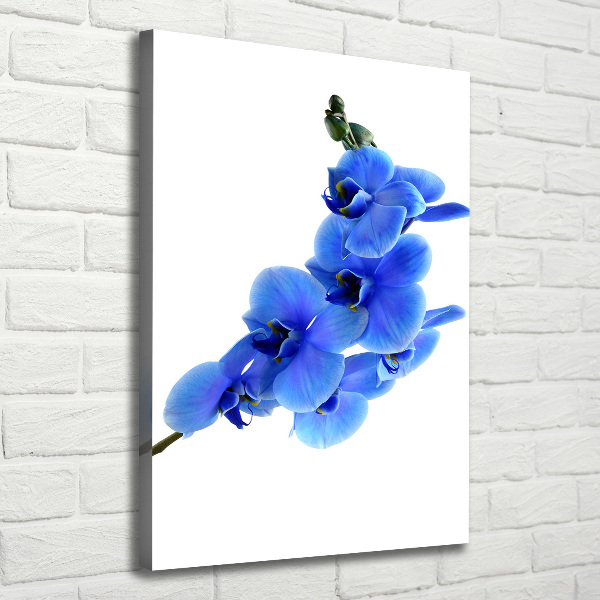 Stampa quadro su tela verticale Orchidea blu