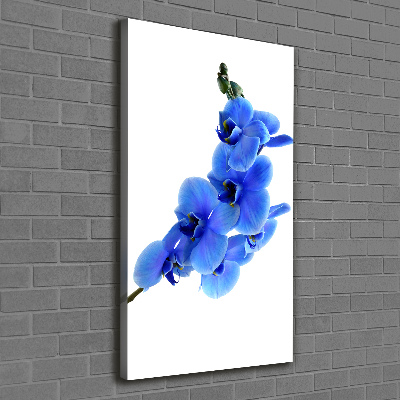 Stampa quadro su tela verticale Orchidea blu