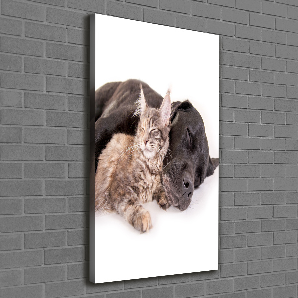 Quadro su tela canvas verticale Cane e gatto