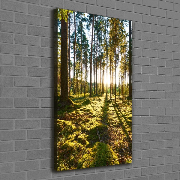 Quadro su tela canvas verticale Pineta