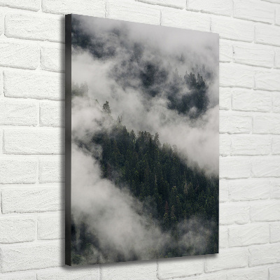 Quadro foto su tela verticale Una nuvola sopra la foresta