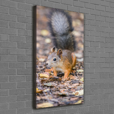 Quadro foto su tela verticale Scoiattolo nella foresta